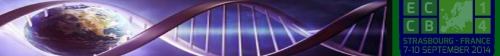 Banner 007