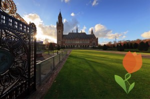 peace palace the hague, eccb 2016