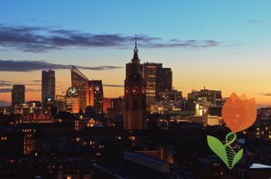 skyline the hague_eccb2016